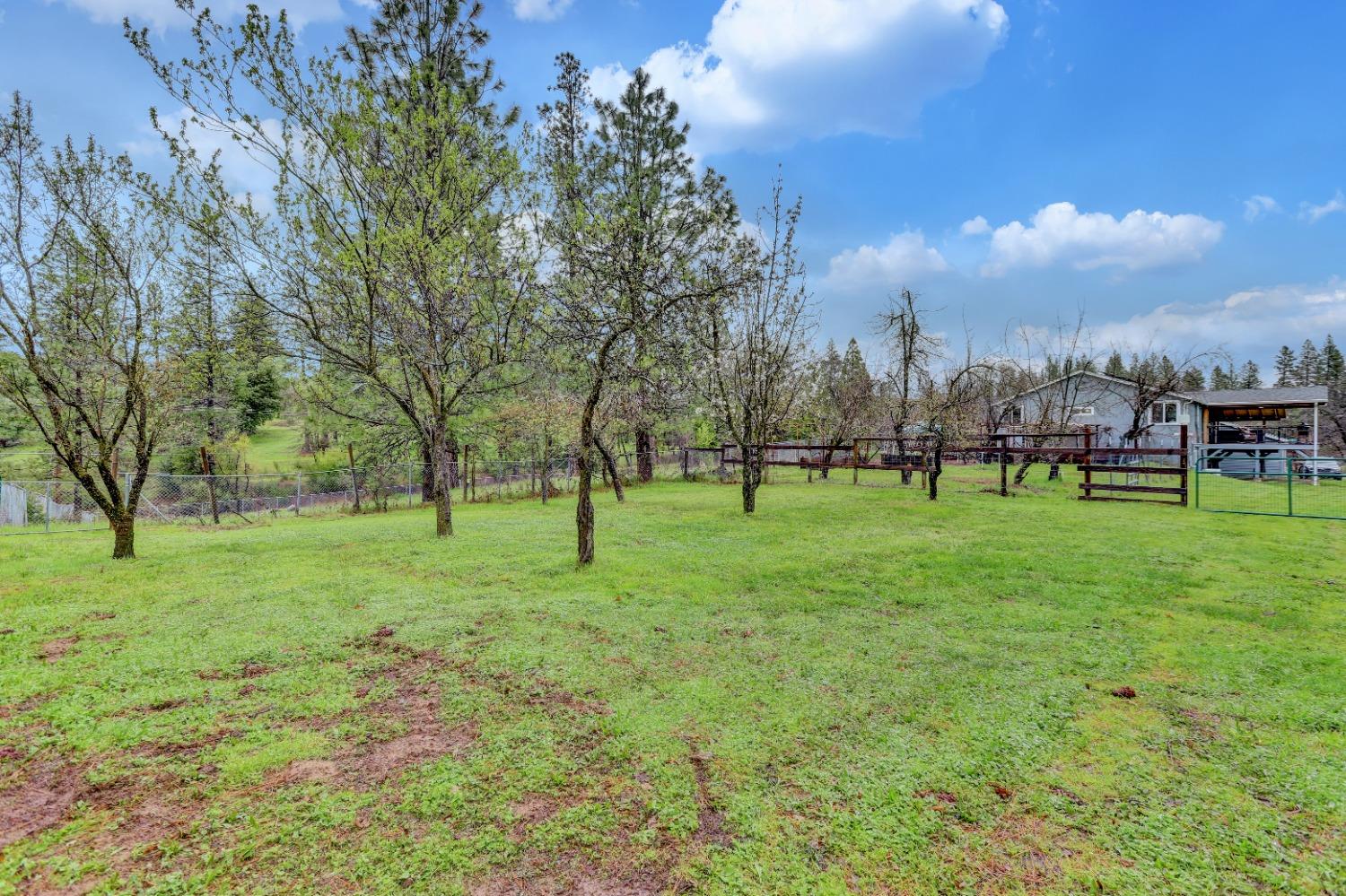 11625 Tyler Foote Road Nevada City, CA 95959 - Photo 69 of 96