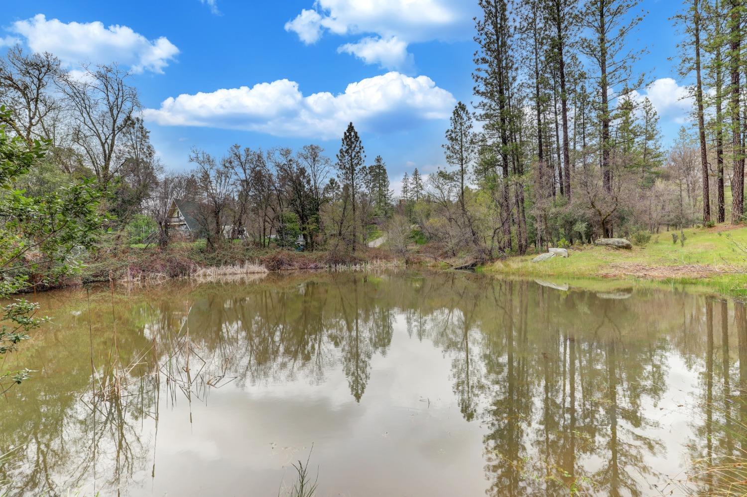 11625 Tyler Foote Road Nevada City, CA 95959 - Photo 71 of 96