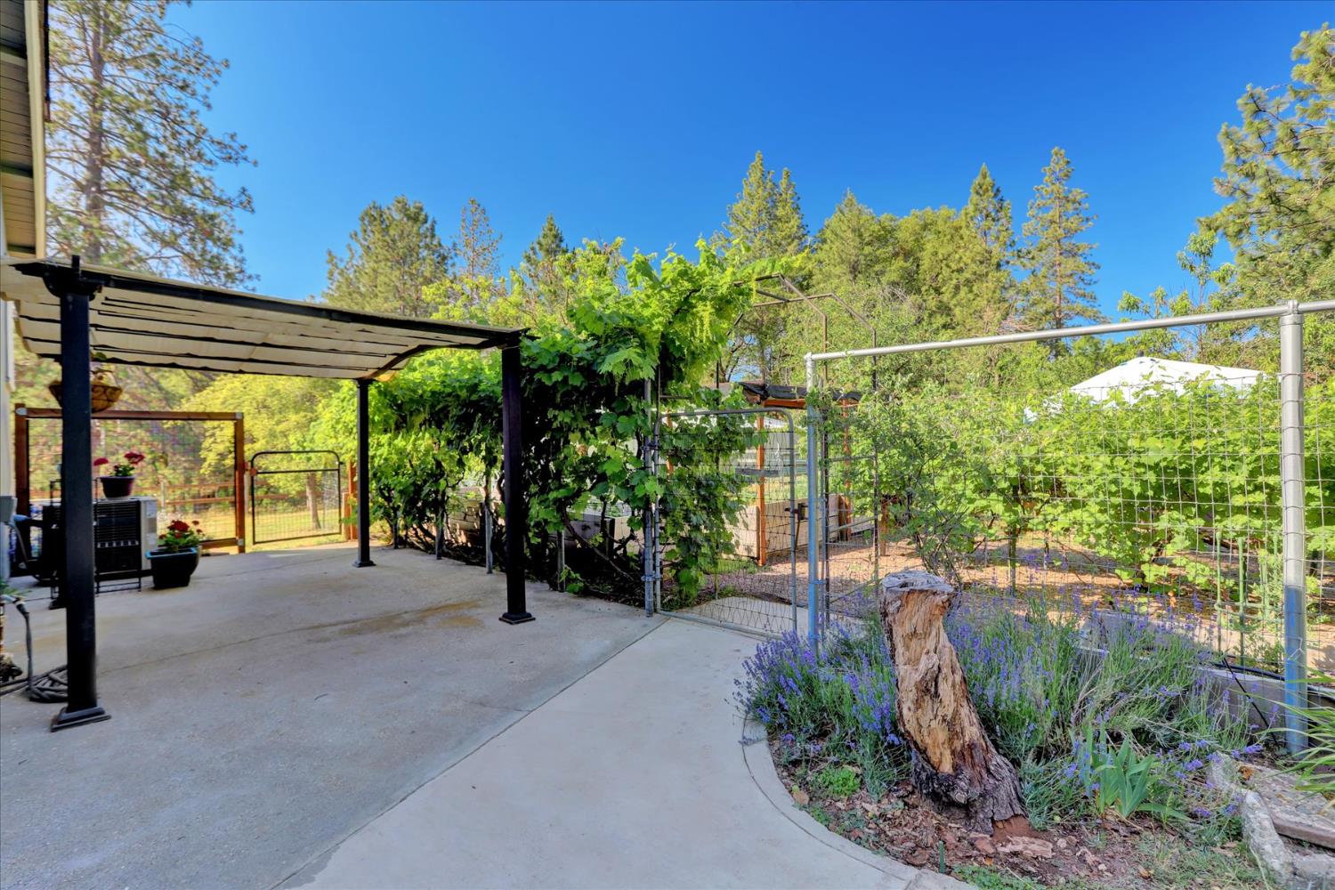11625 Tyler Foote Road Nevada City, CA 95959 - Photo 81 of 96