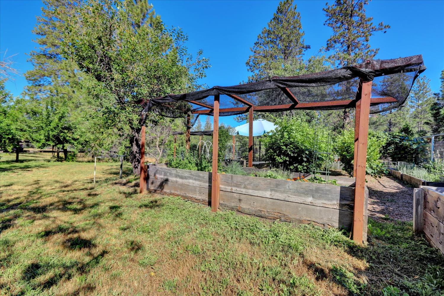 11625 Tyler Foote Road Nevada City, CA 95959 - Photo 83 of 96