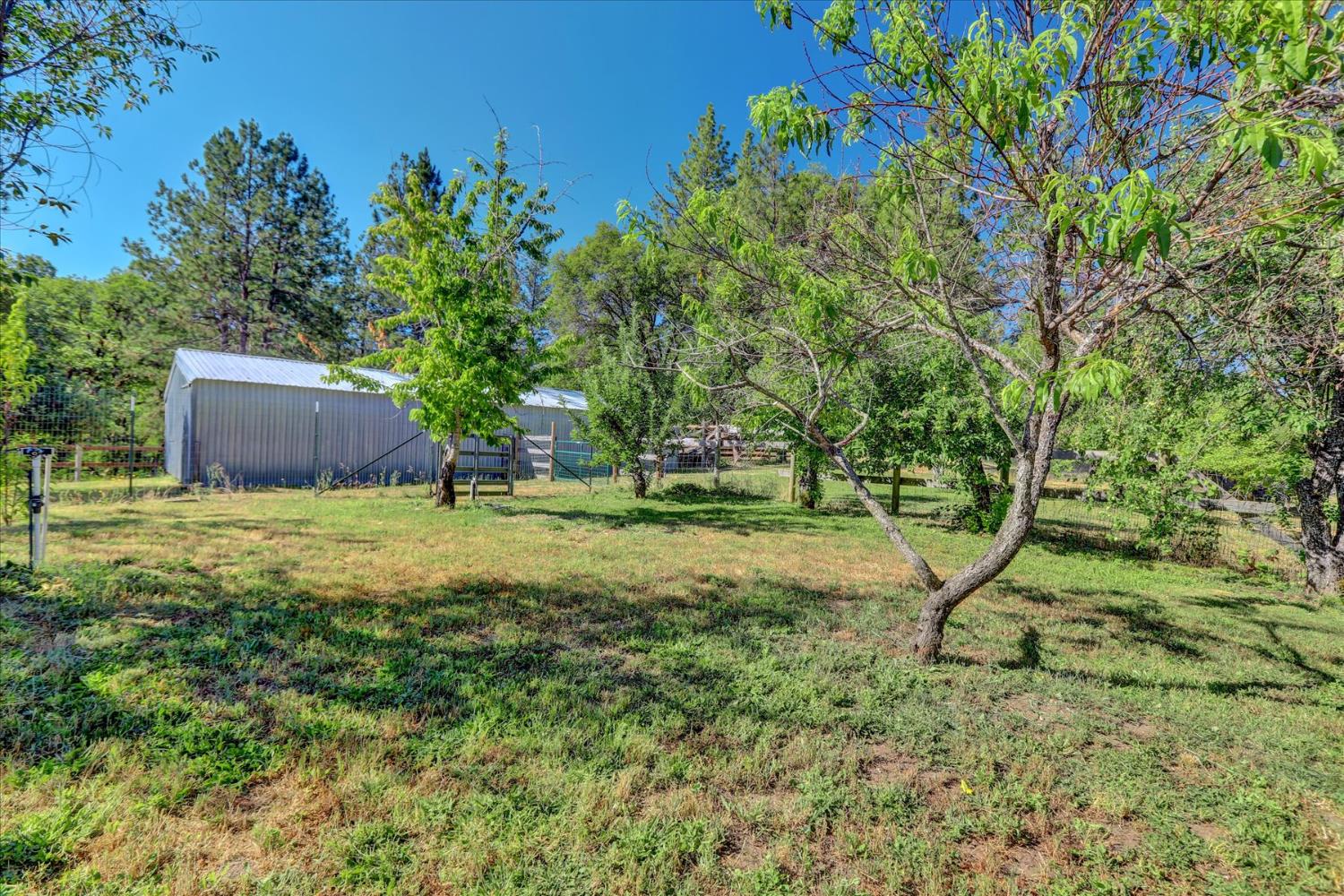 11625 Tyler Foote Road Nevada City, CA 95959 - Photo 85 of 96