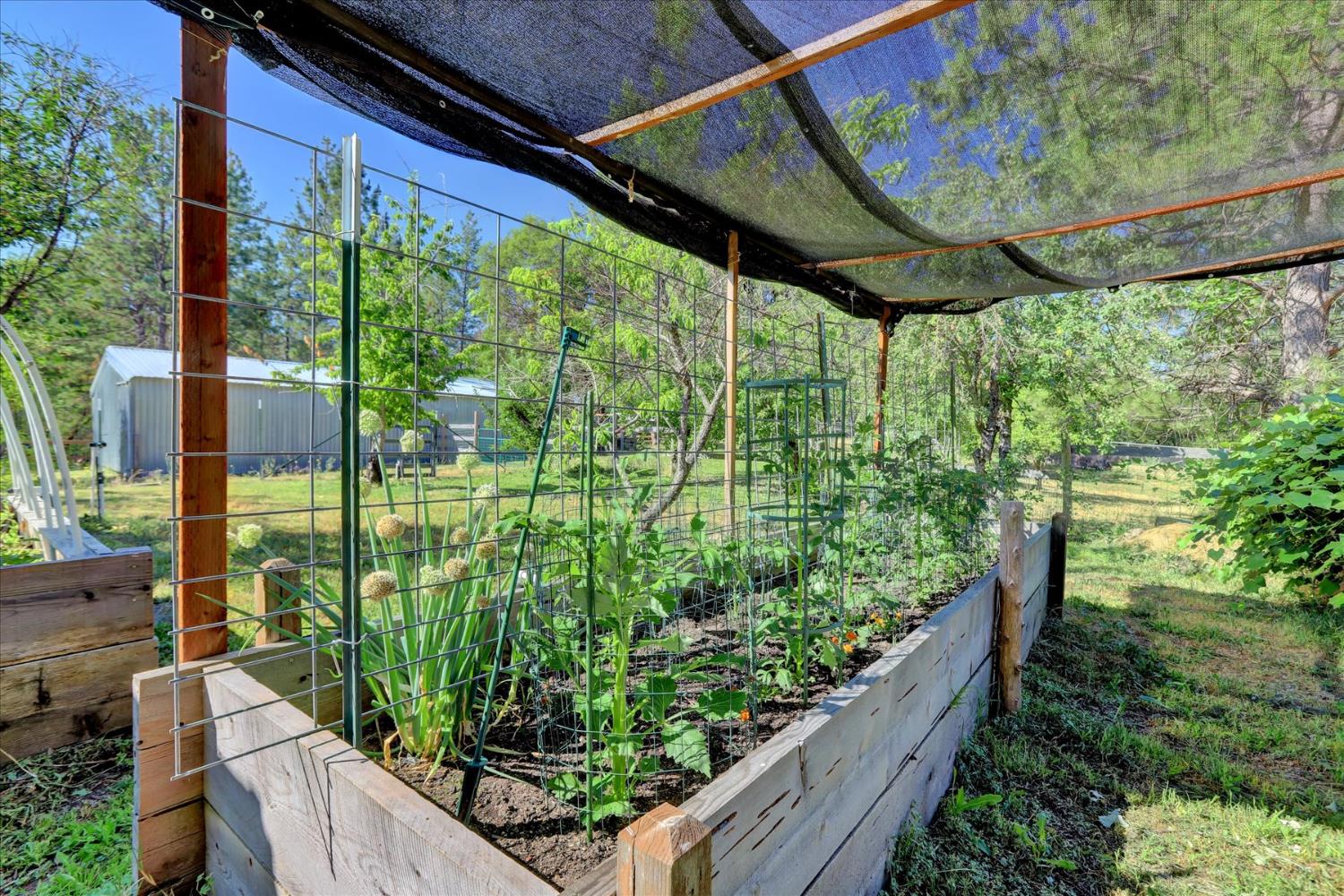 11625 Tyler Foote Road Nevada City, CA 95959 - Photo 86 of 96 a view of a garden from a balcony