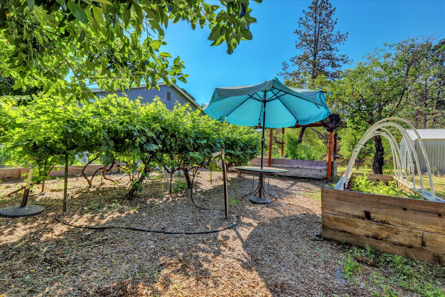 11625 Tyler Foote Road Nevada City, CA 95959 - Photo 88 of 96