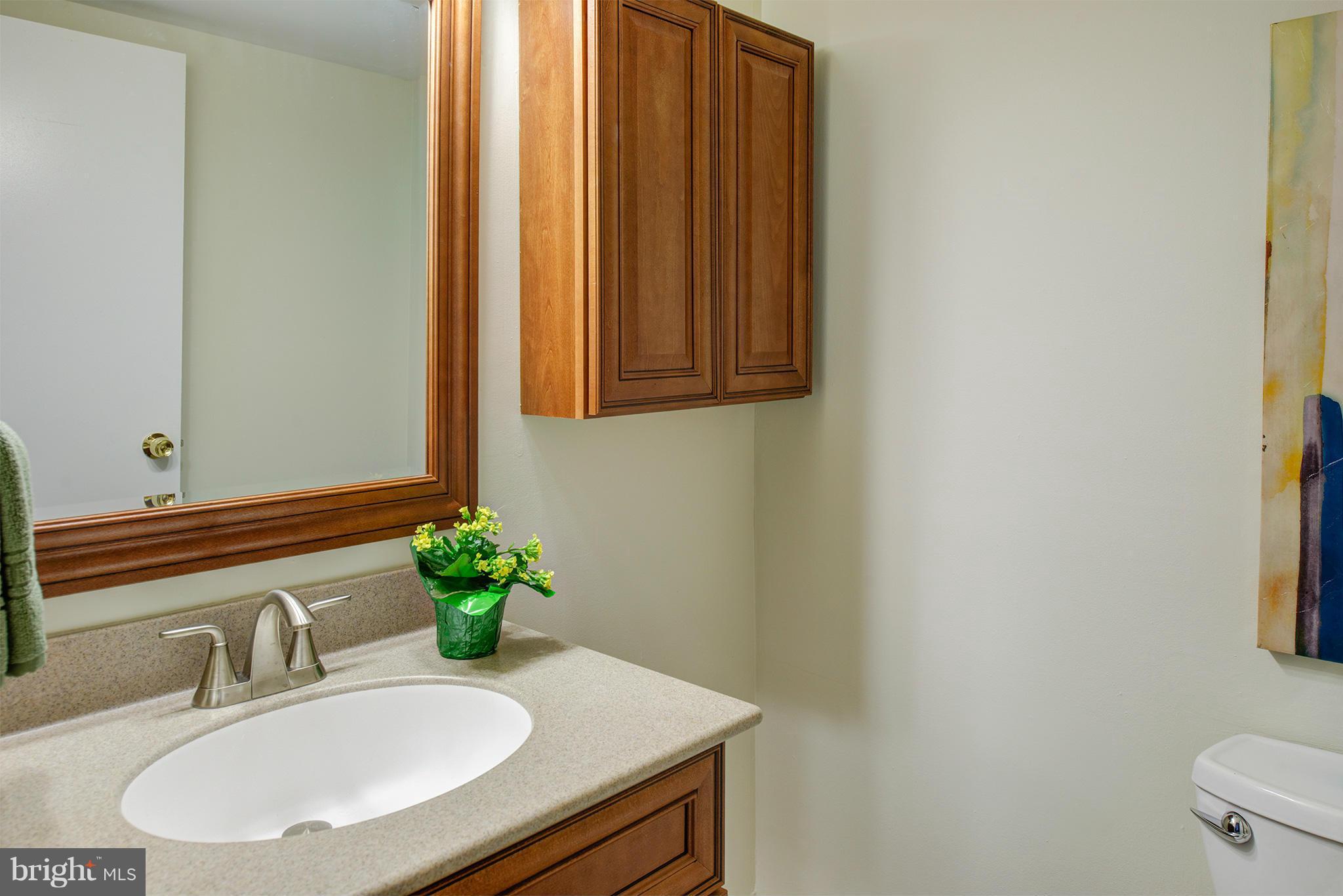 11232 Chestnut Grove Square, Unit 133 Reston, VA 20190 - Photo 17 of 29 Bath (Master)