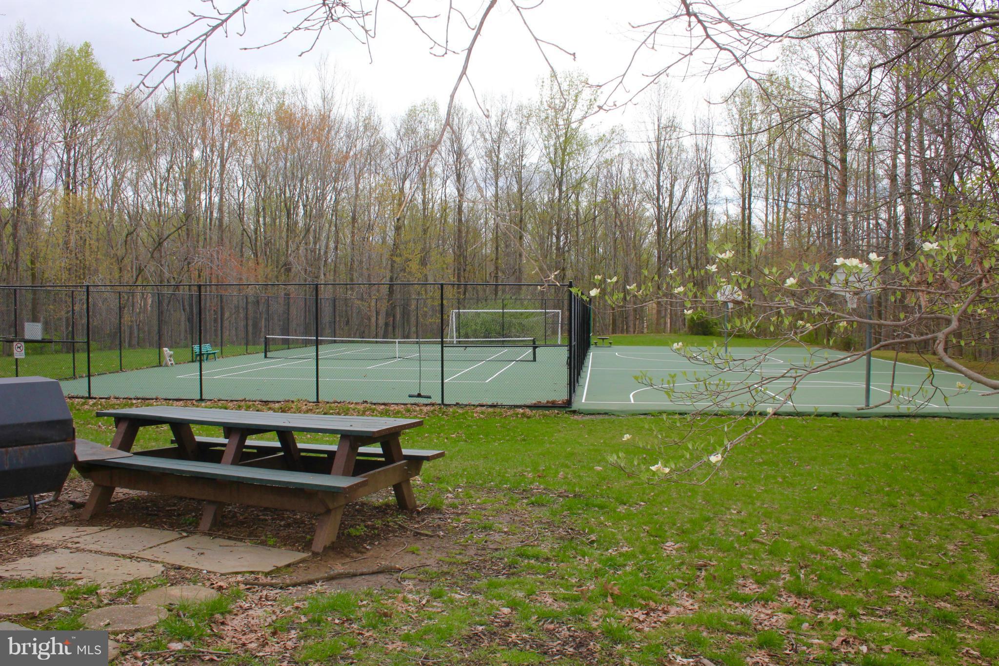 11232 Chestnut Grove Square, Unit 133 Reston, VA 20190 - Photo 18 of 29 Tennis and Basketball Courts