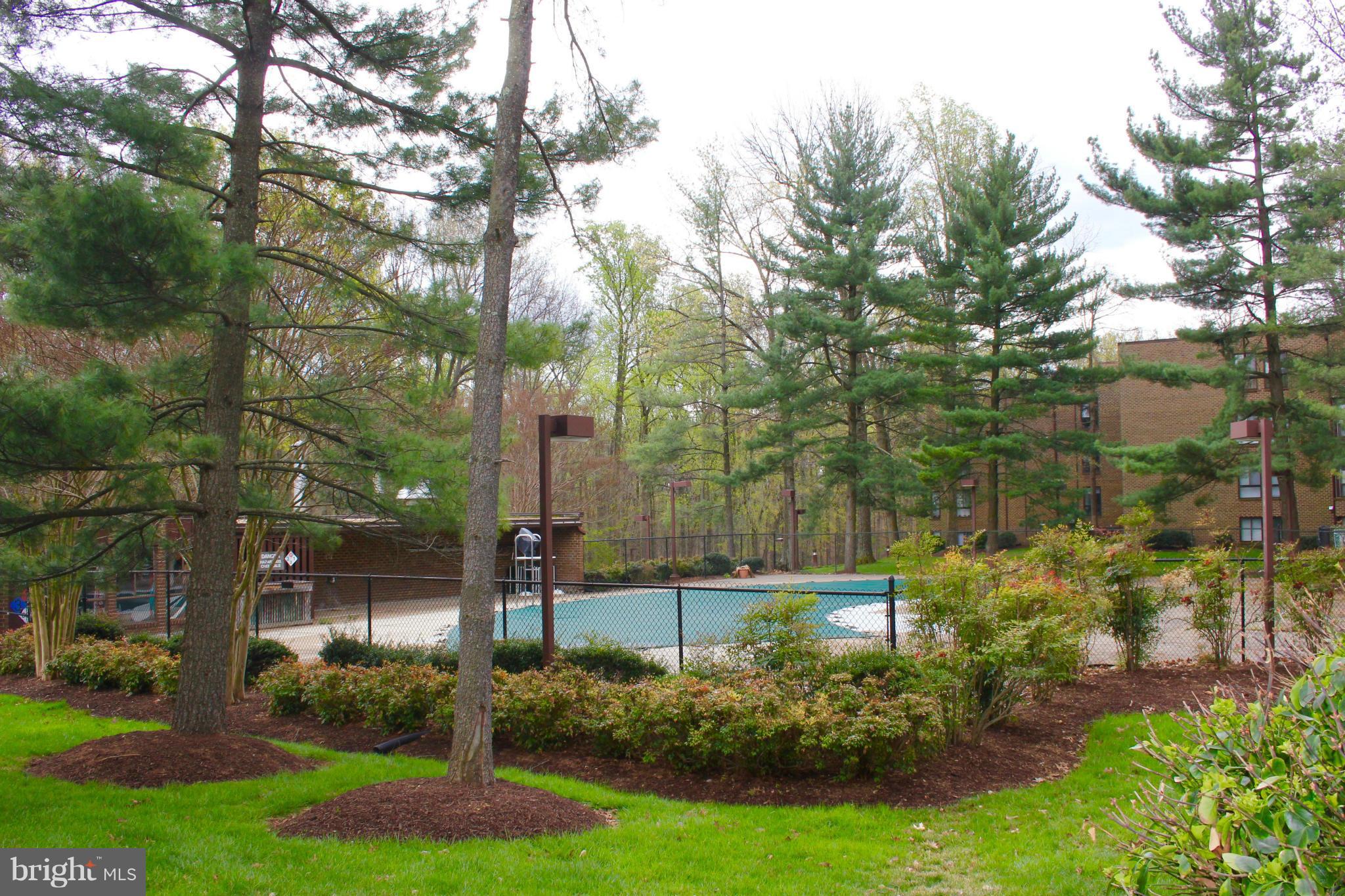 11232 Chestnut Grove Square, Unit 133 Reston, VA 20190 - Photo 20 of 29 Pool