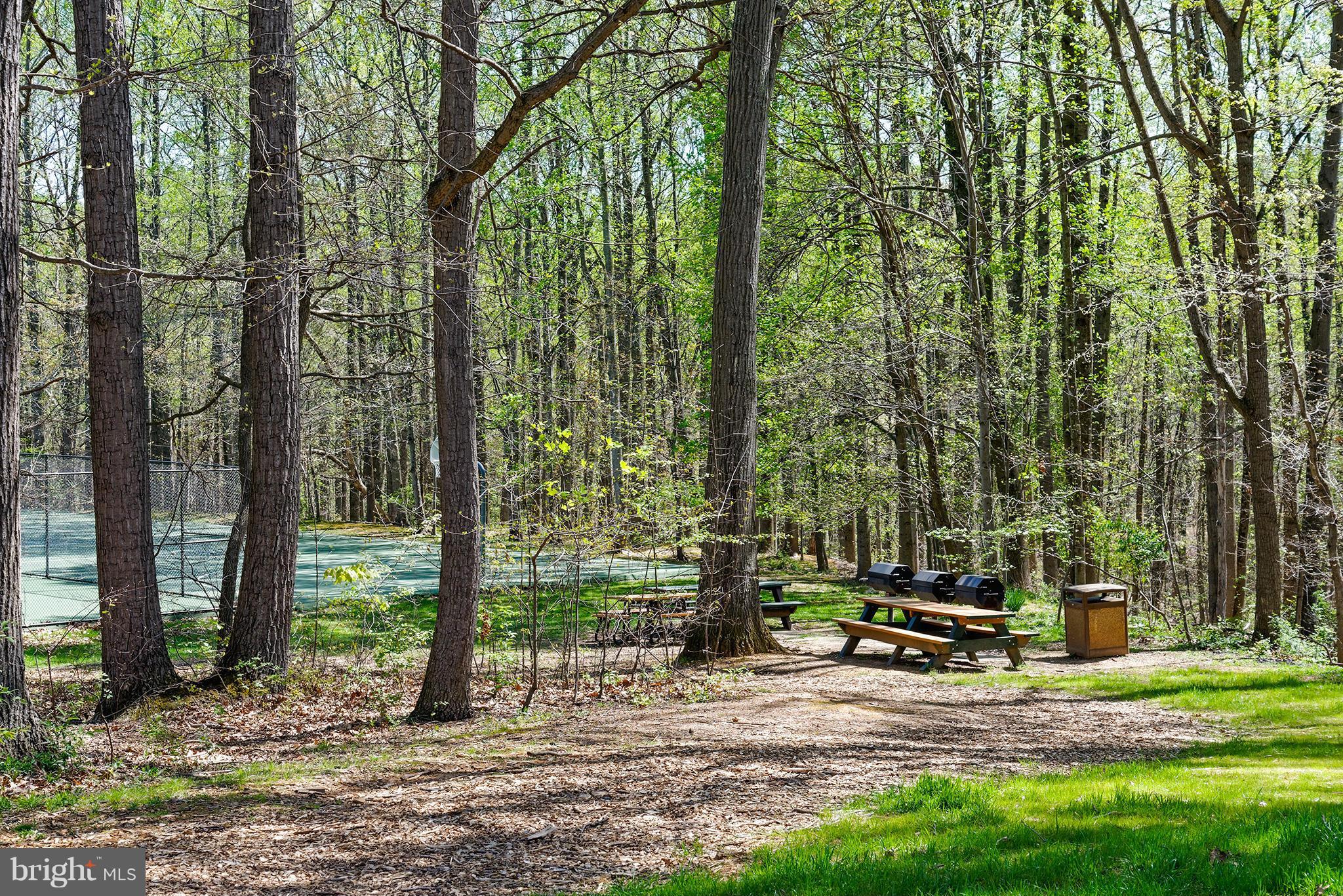 11232 Chestnut Grove Square, Unit 133 Reston, VA 20190 - Photo 21 of 29 Picnic/BBQ Area