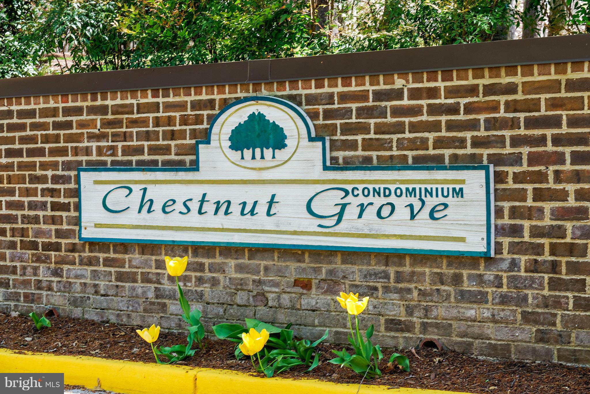 11232 Chestnut Grove Square, Unit 133 Reston, VA 20190 - Photo 22 of 29 Community