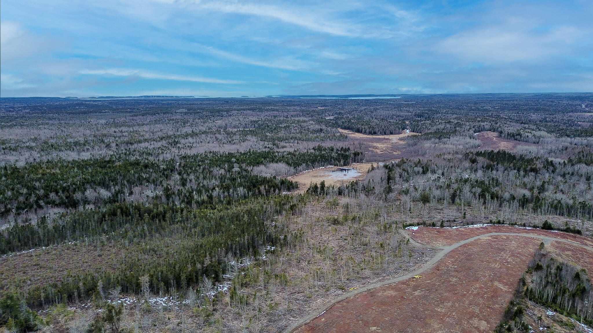 0 Lively Brook Road Whiting, ME 04691 - Photo 20 of 50 16