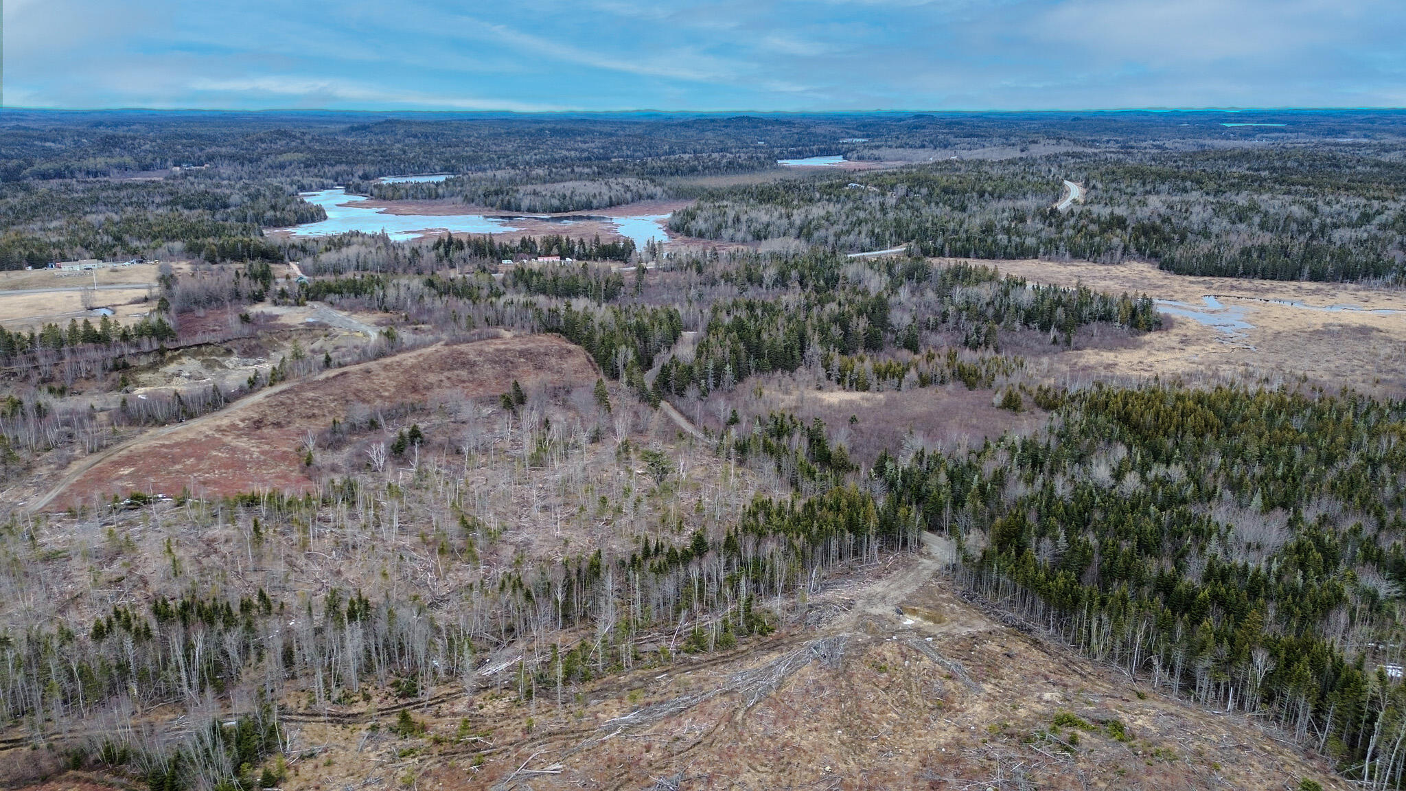 0 Lively Brook Road Whiting, ME 04691 - Photo 21 of 50 17