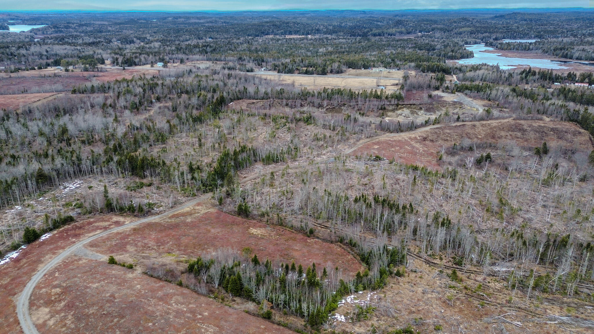 0 Lively Brook Road Whiting, ME 04691 - Photo 22 of 50 18