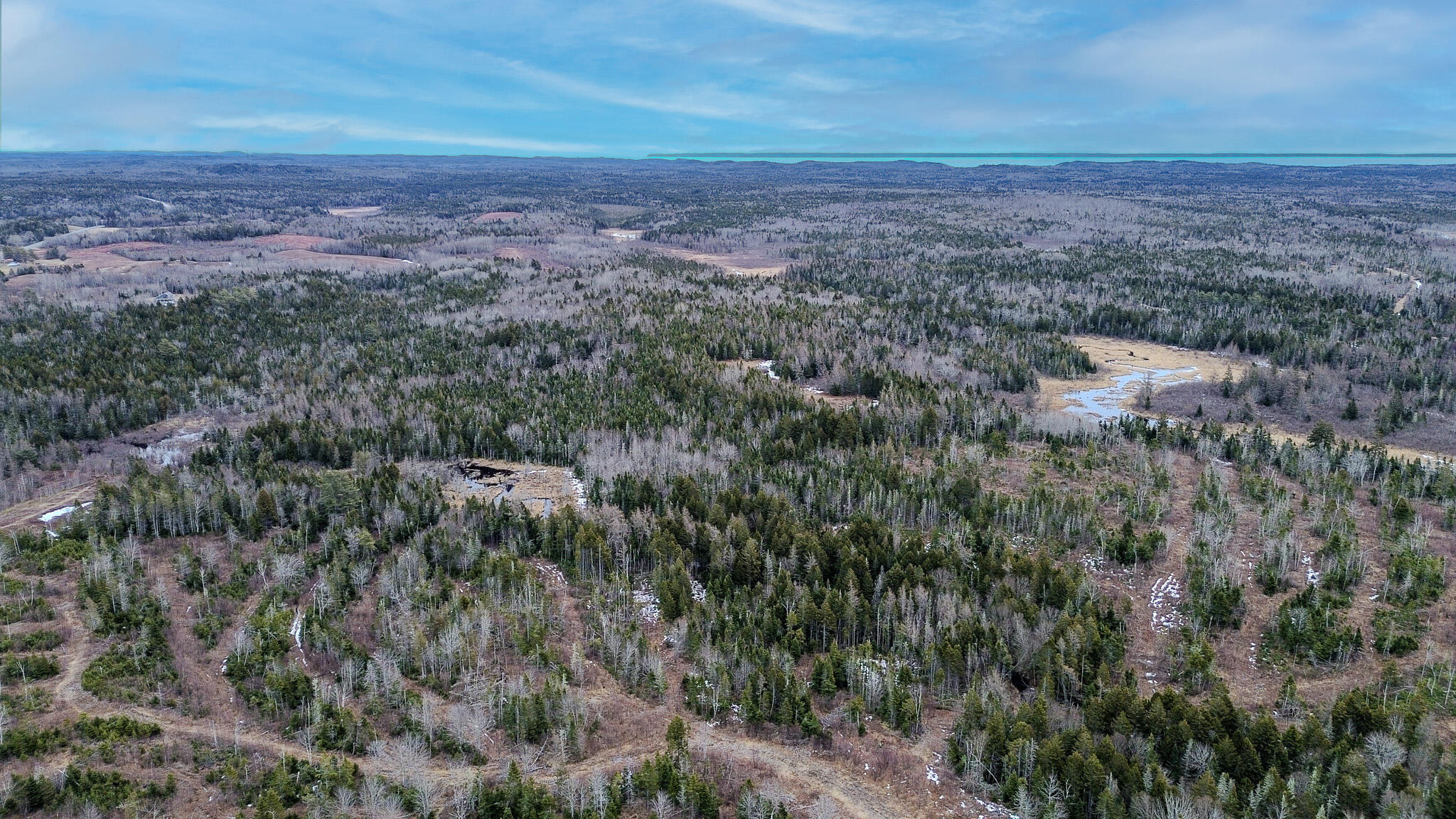 0 Lively Brook Road Whiting, ME 04691 - Photo 28 of 50 24