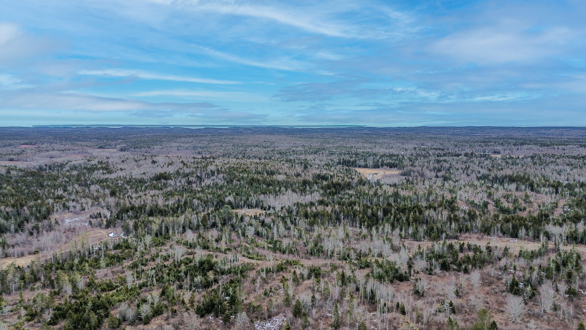 0 Lively Brook Road Whiting, ME 04691 - Photo 29 of 50 25