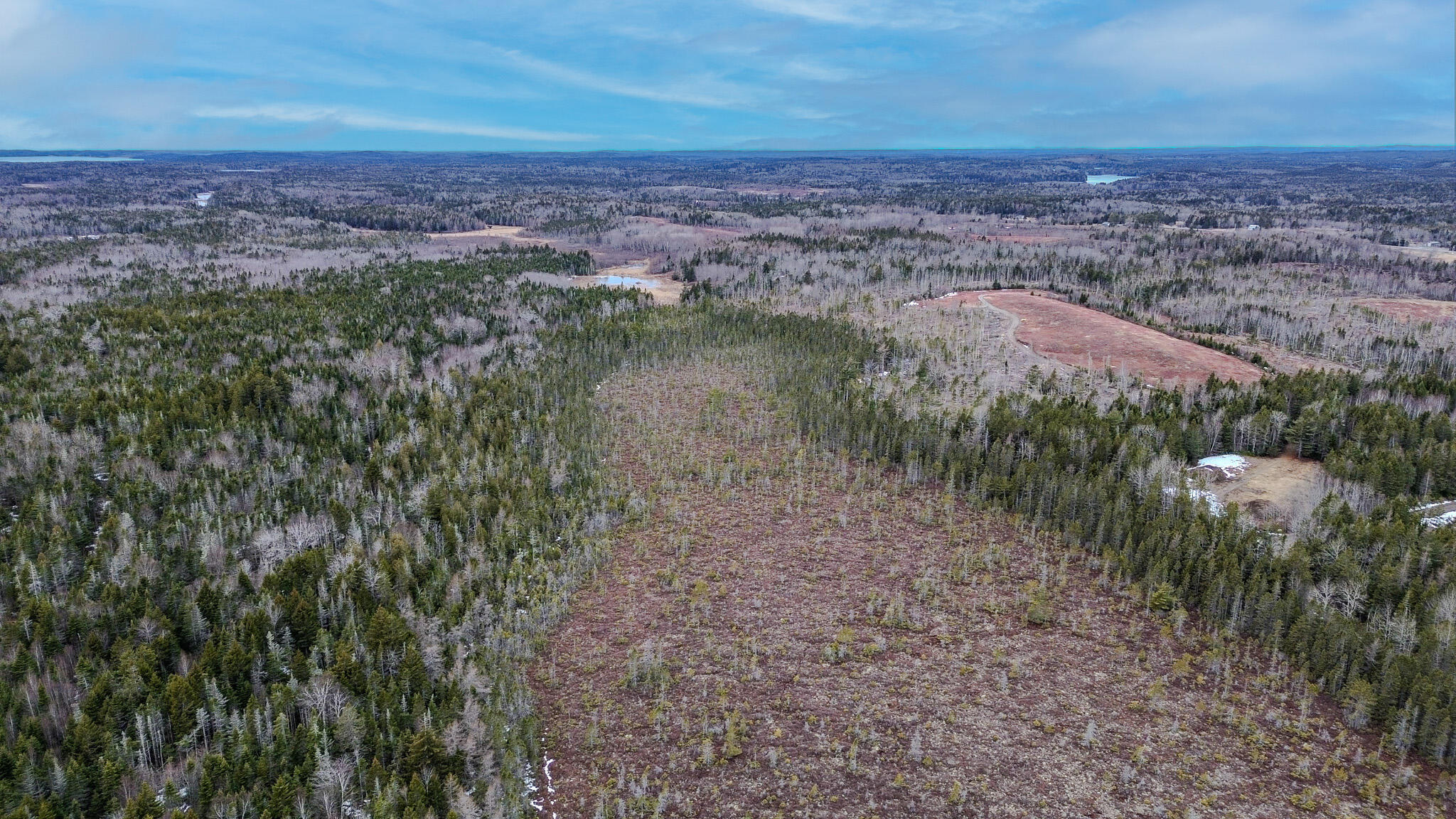0 Lively Brook Road Whiting, ME 04691 - Photo 30 of 50 26