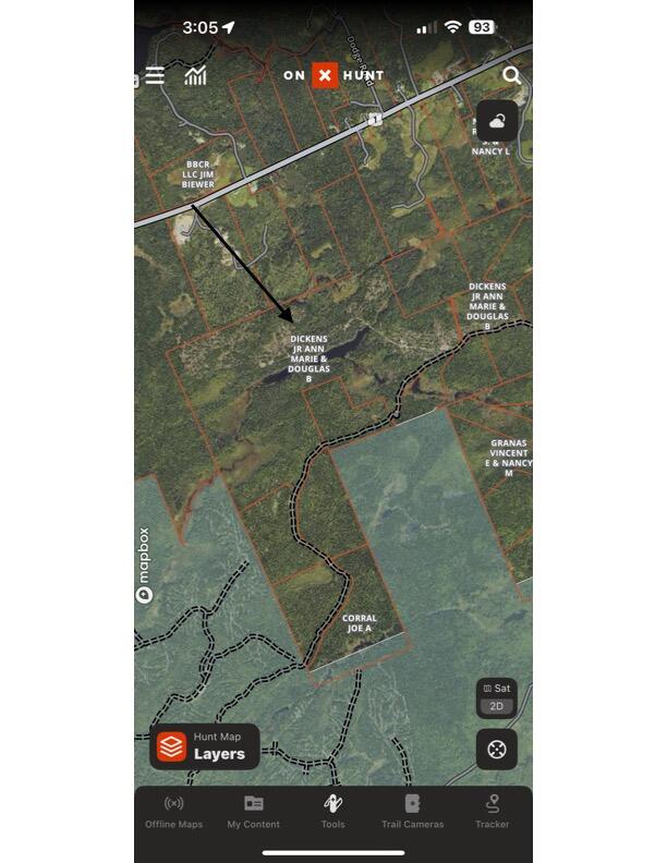 0 Lively Brook Road Whiting, ME 04691 - Photo 3 of 50 IMG_4462