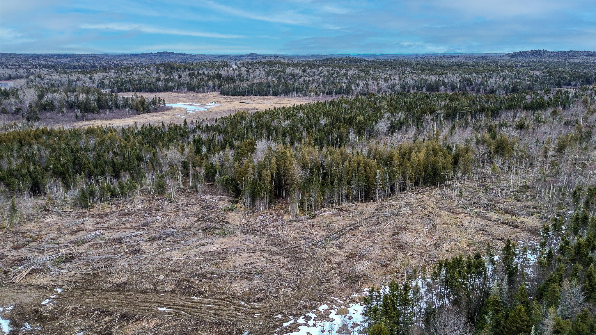 0 Lively Brook Road Whiting, ME 04691 - Photo 31 of 50 27