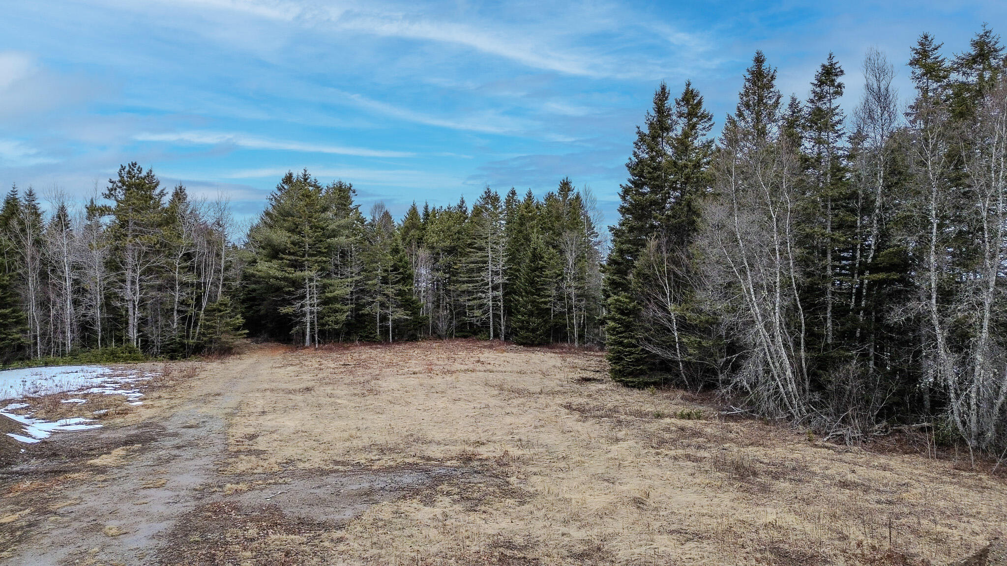 0 Lively Brook Road Whiting, ME 04691 - Photo 32 of 50 28