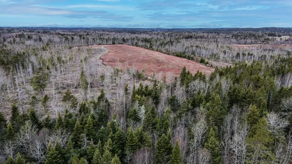 $795,000 | 0 Lively Brook Road, Whiting, ME 04691