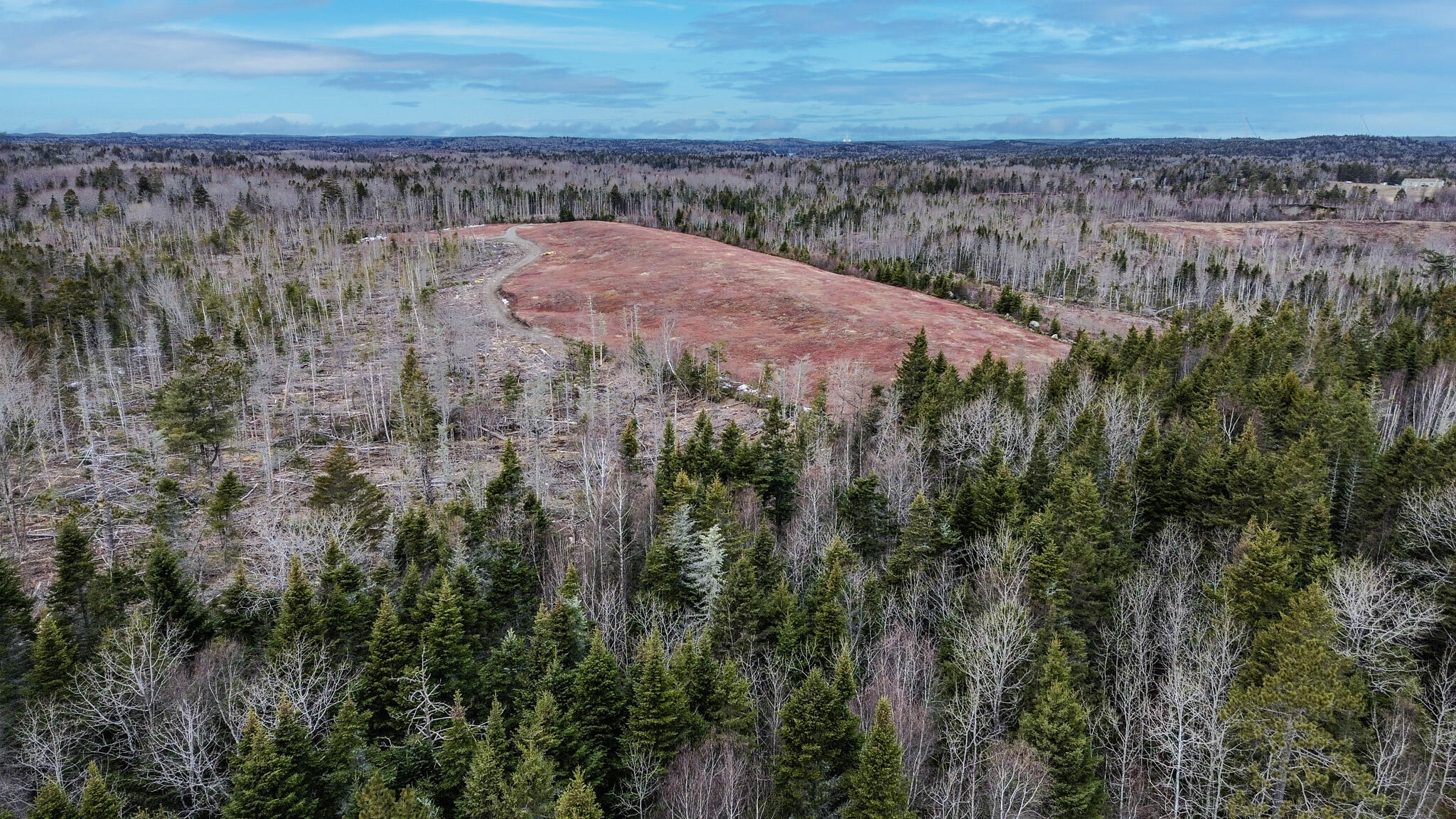 0 Lively Brook Road Whiting, ME 04691 - Photo 33 of 50 29
