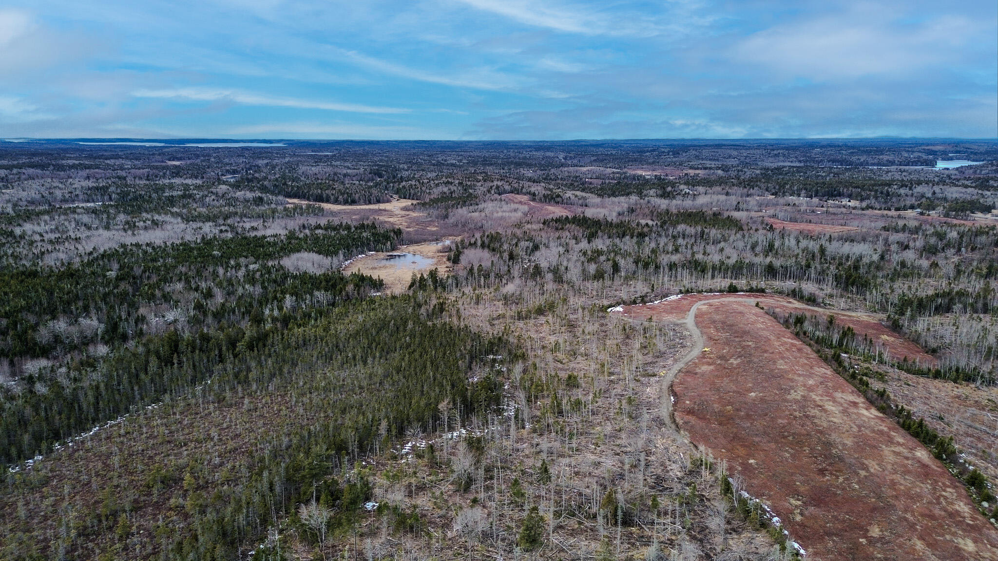 0 Lively Brook Road Whiting, ME 04691 - Photo 34 of 50 30