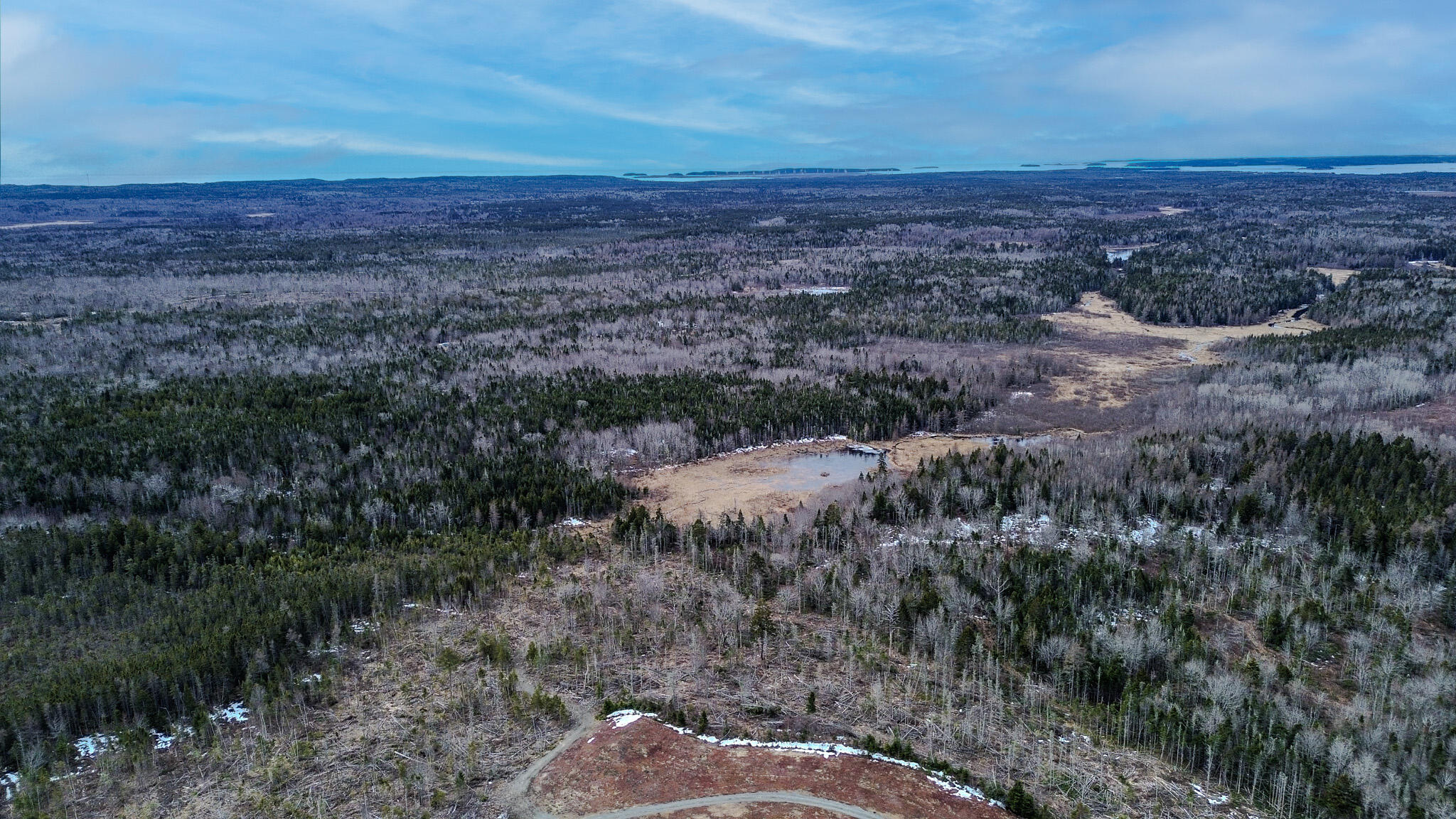 0 Lively Brook Road Whiting, ME 04691 - Photo 37 of 50 33