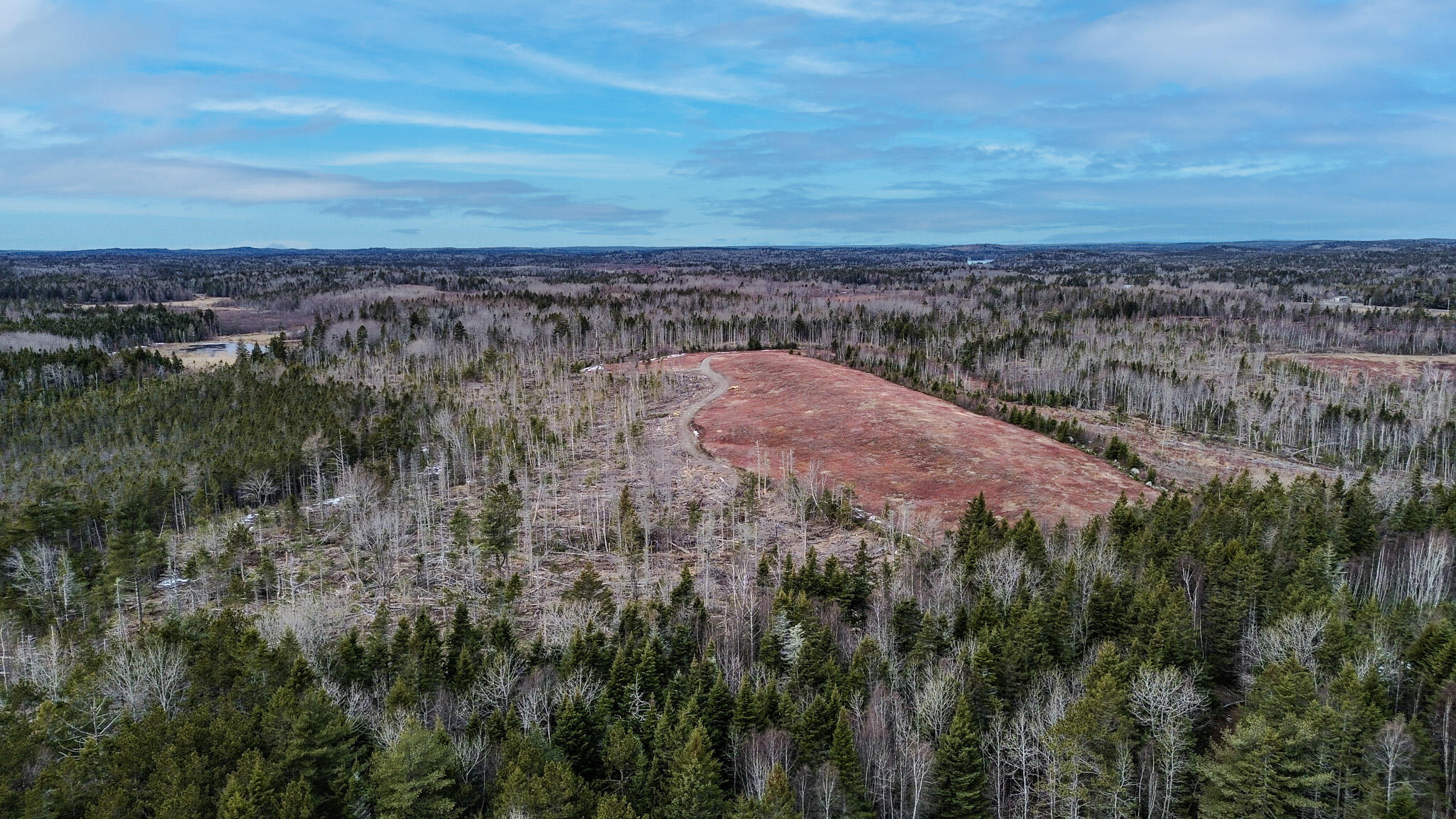 0 Lively Brook Road Whiting, ME 04691 - Photo 38 of 50 34