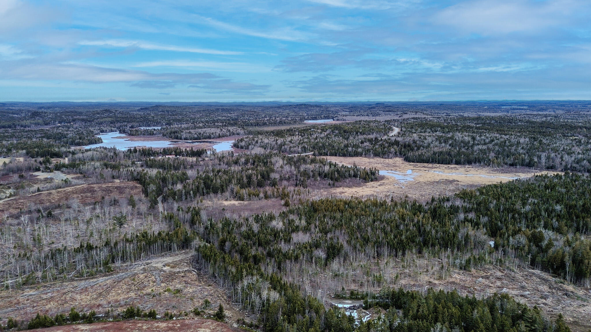 0 Lively Brook Road Whiting, ME 04691 - Photo 39 of 50 36