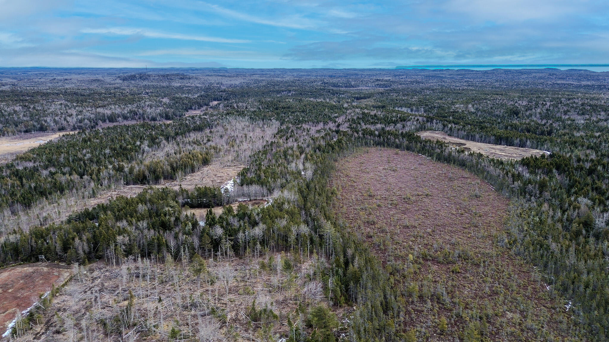 0 Lively Brook Road Whiting, ME 04691 - Photo 41 of 50 38