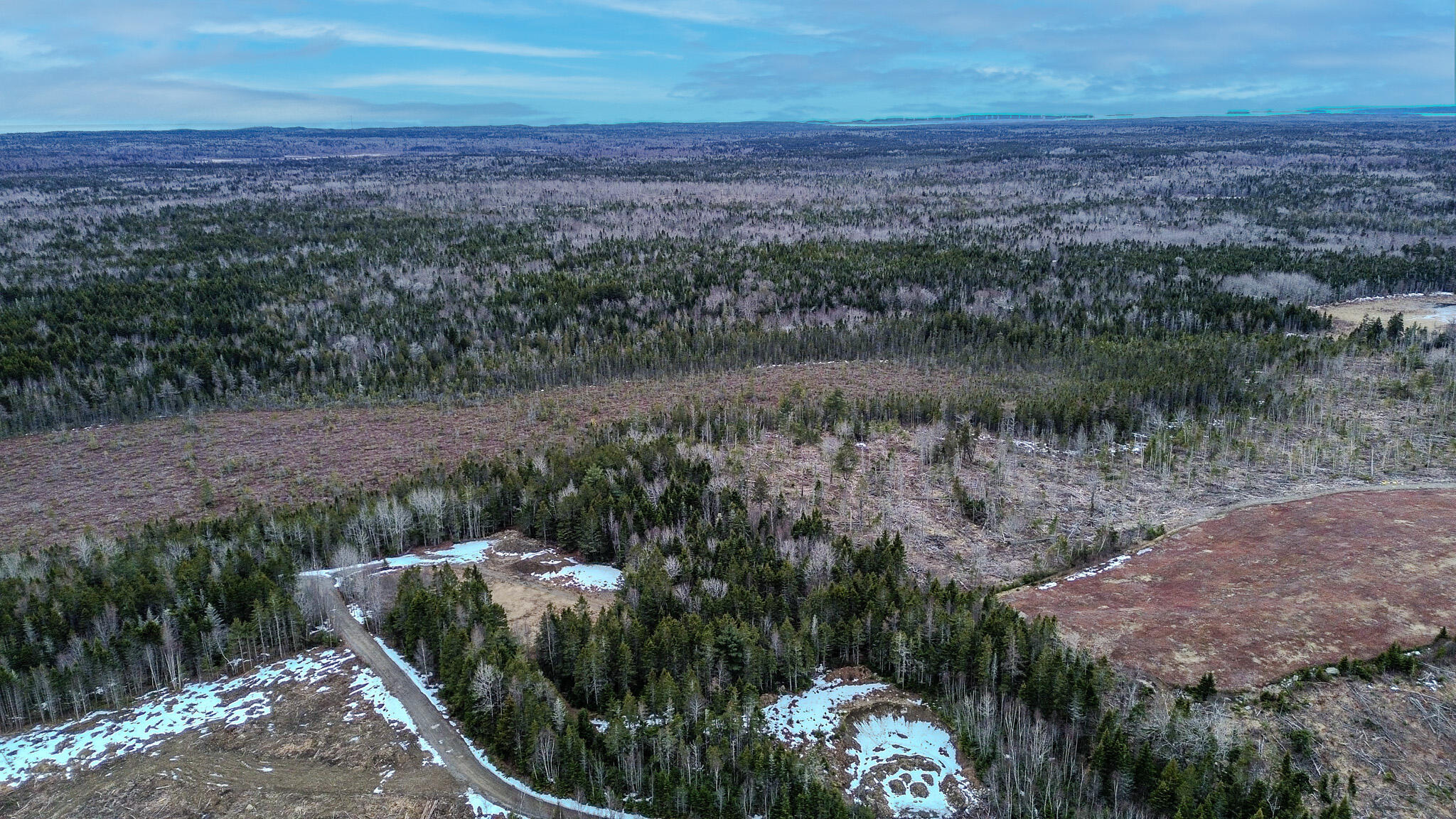 0 Lively Brook Road Whiting, ME 04691 - Photo 42 of 50 39