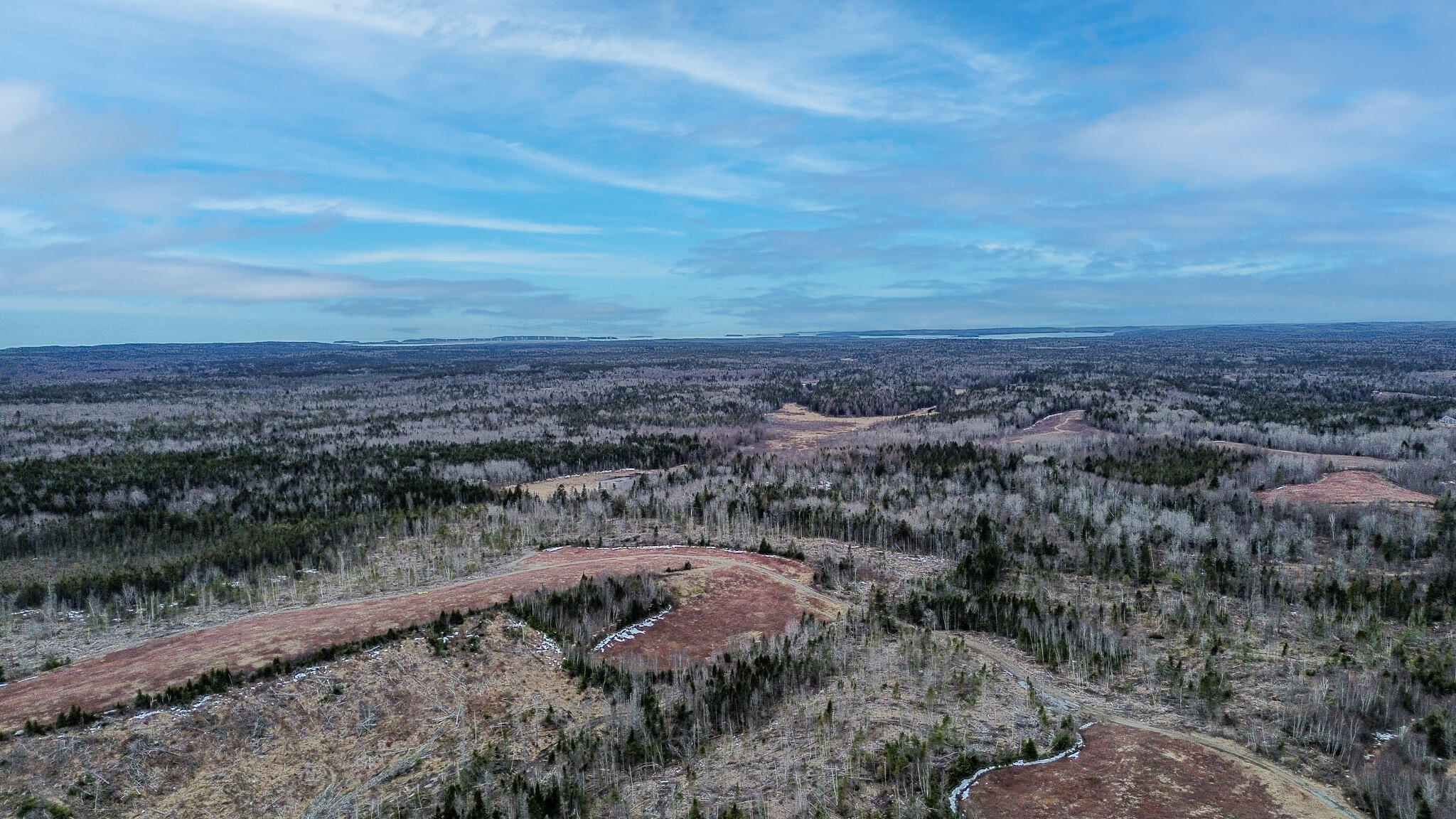 0 Lively Brook Road Whiting, ME 04691 - Photo 43 of 50 40