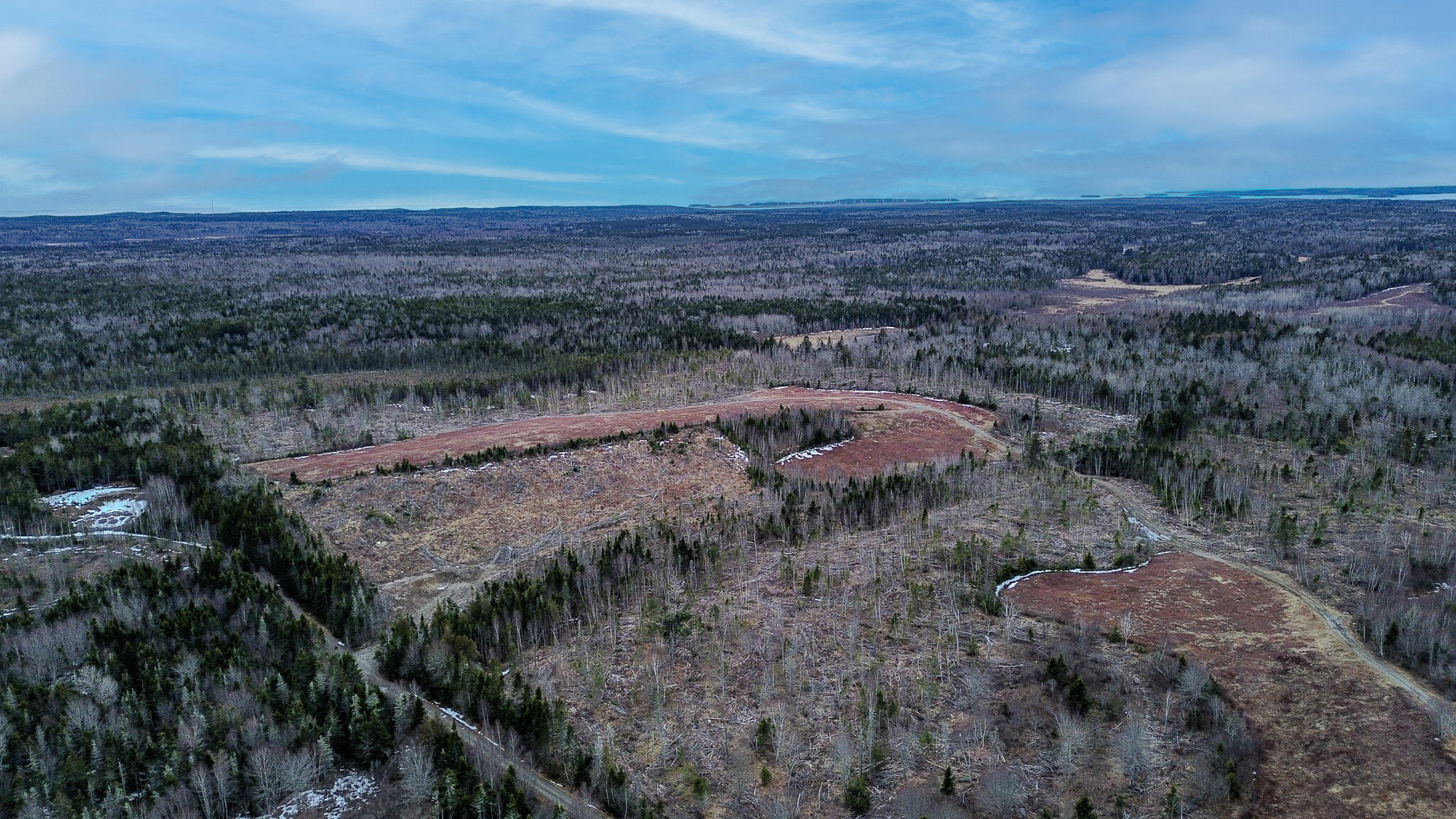 0 Lively Brook Road Whiting, ME 04691 - Photo 44 of 50 41
