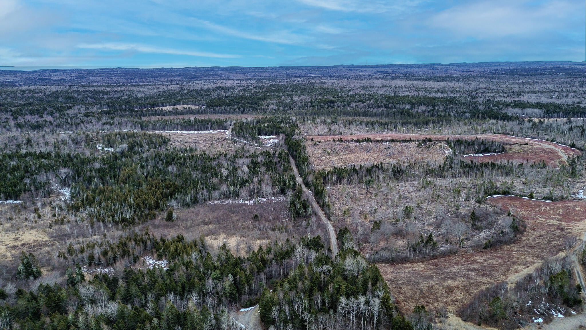 0 Lively Brook Road Whiting, ME 04691 - Photo 45 of 50 42