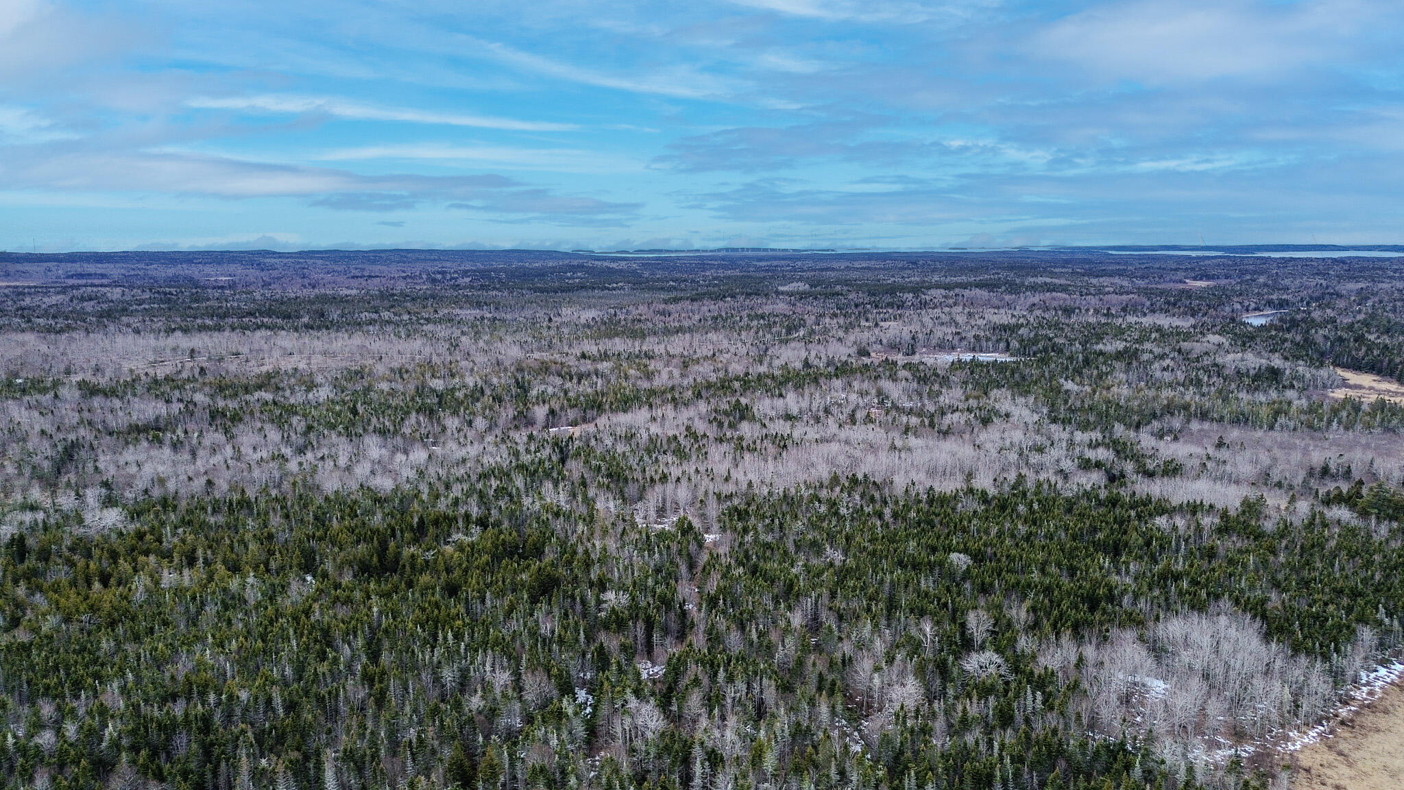 0 Lively Brook Road Whiting, ME 04691 - Photo 46 of 50 43