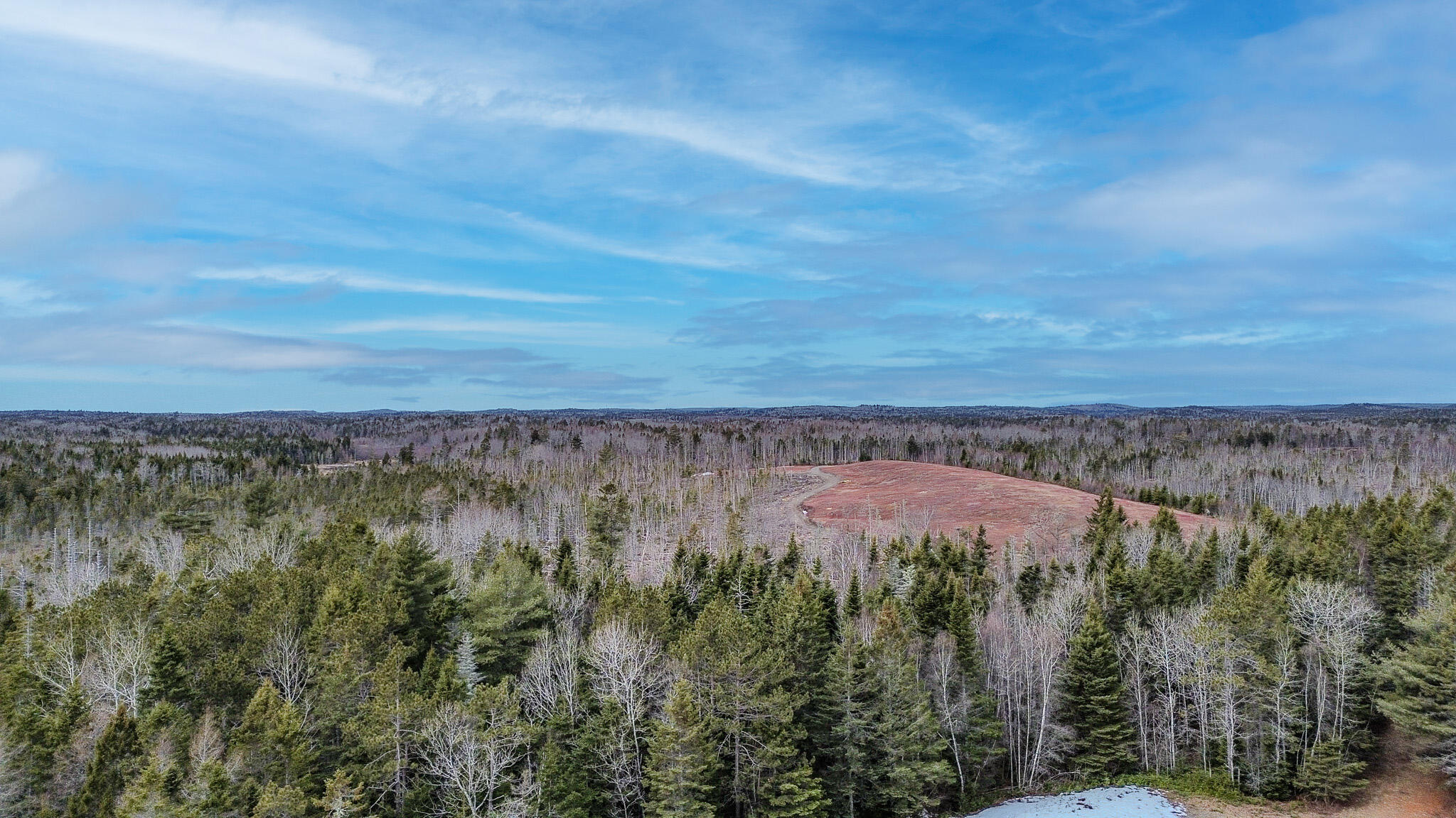 0 Lively Brook Road Whiting, ME 04691 - Photo 47 of 50 46