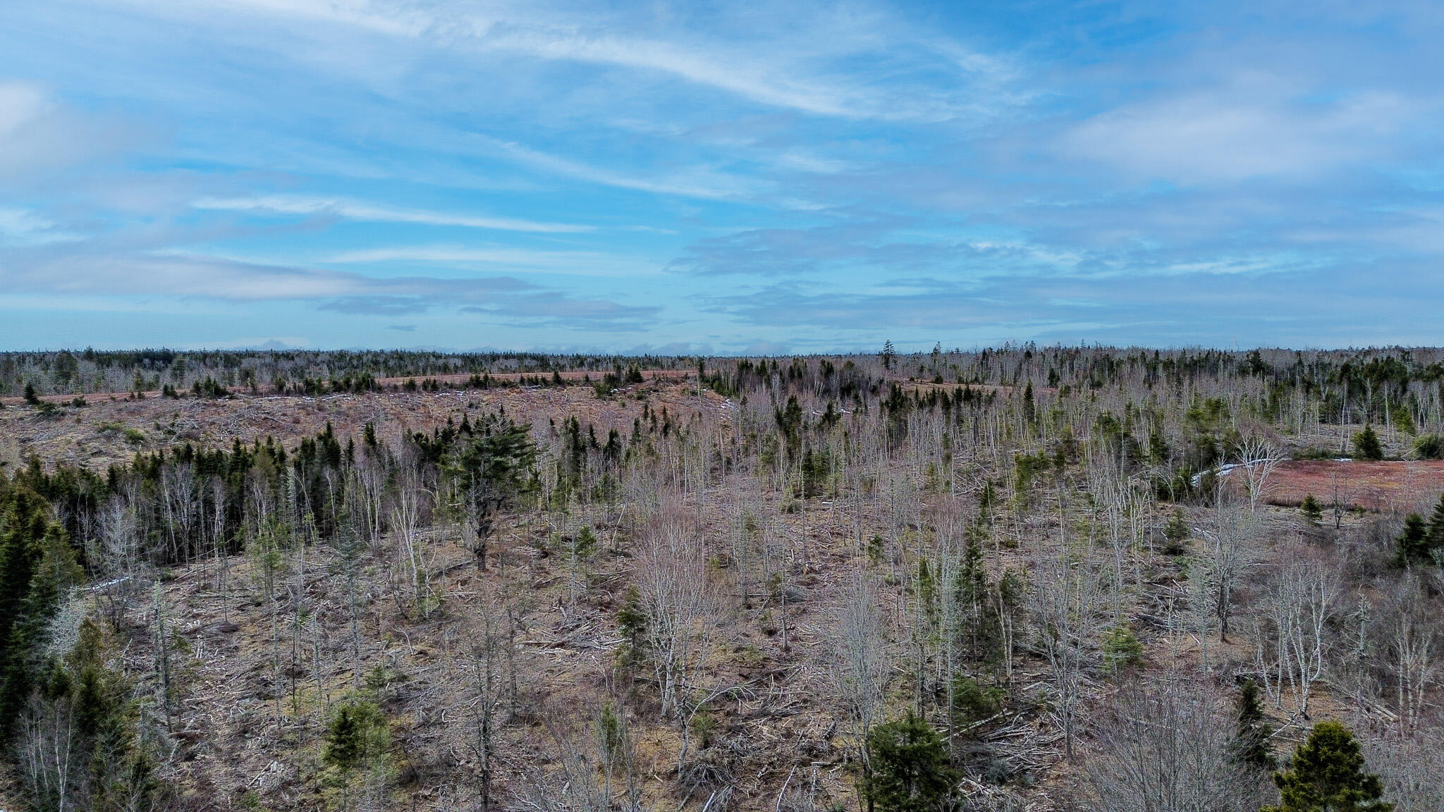 0 Lively Brook Road Whiting, ME 04691 - Photo 49 of 50 48