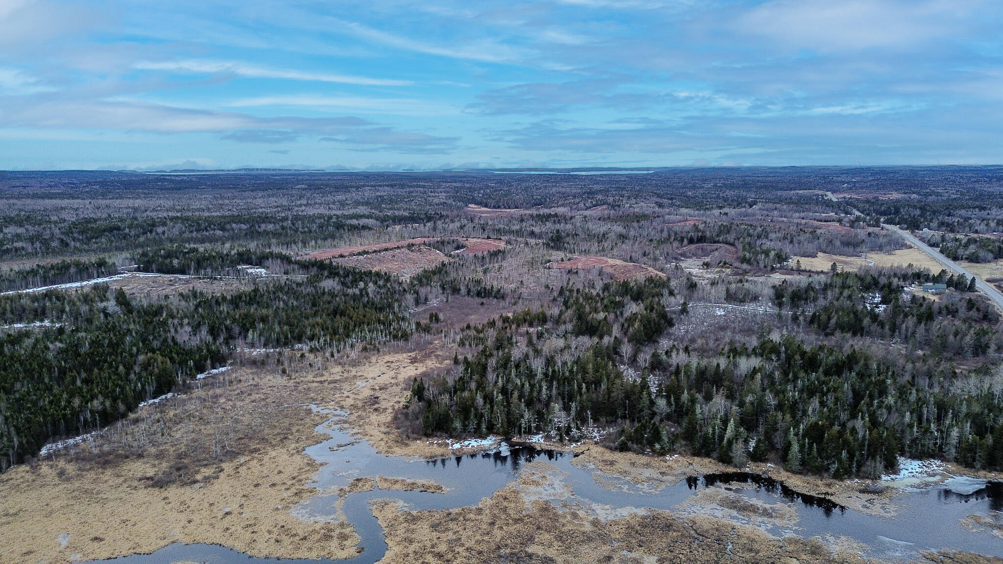 0 Lively Brook Road Whiting, ME 04691 - Photo 7 of 50 3