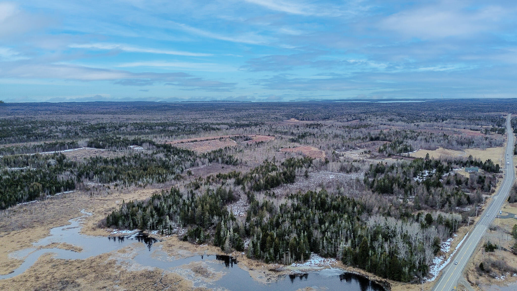 0 Lively Brook Road Whiting, ME 04691 - Photo 8 of 50 4