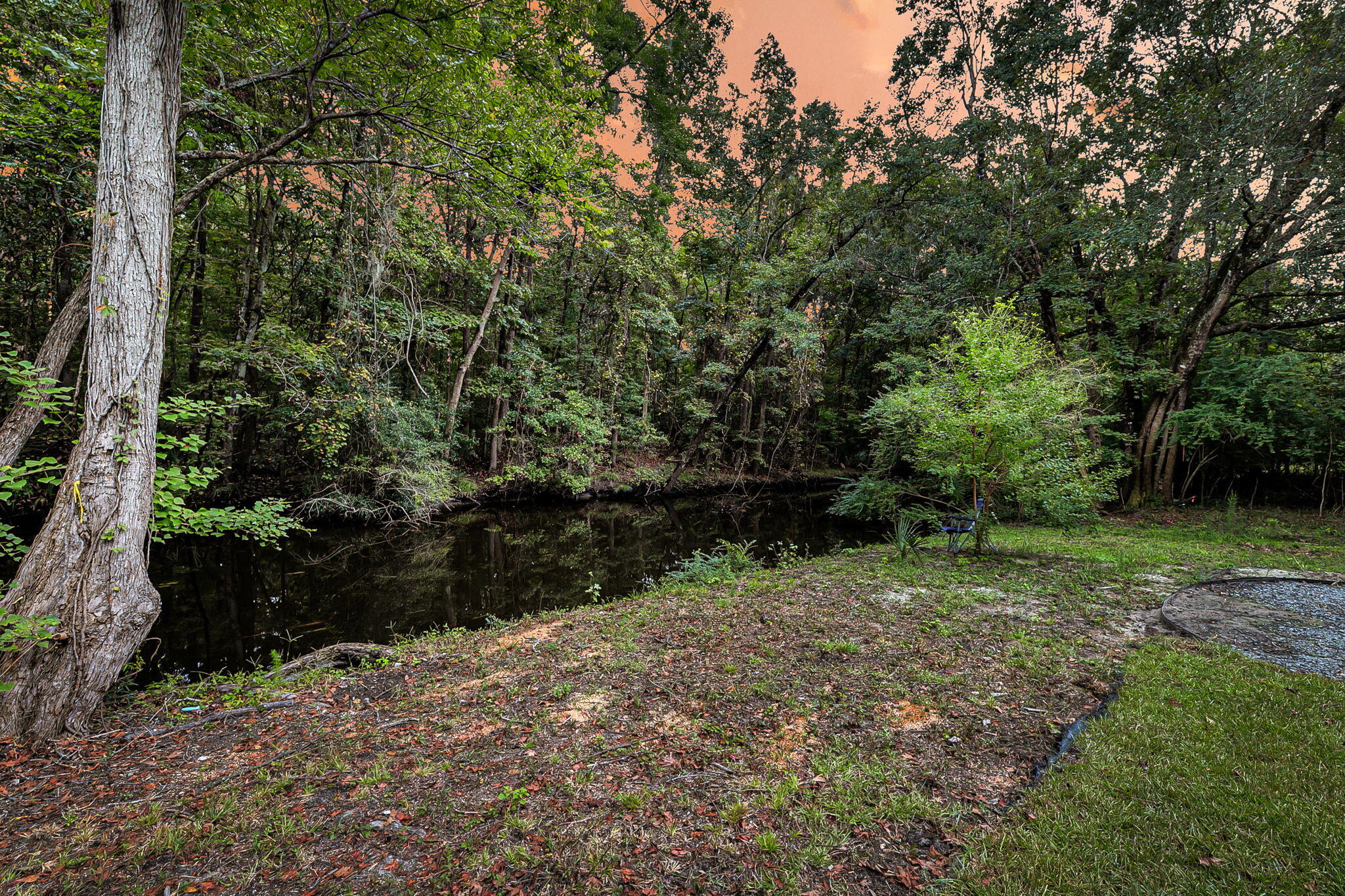 1195 Michelle Lane Johns Island, SC 29455 - Photo 51 of 54 CREM - 1195 Michelle Twilights-6