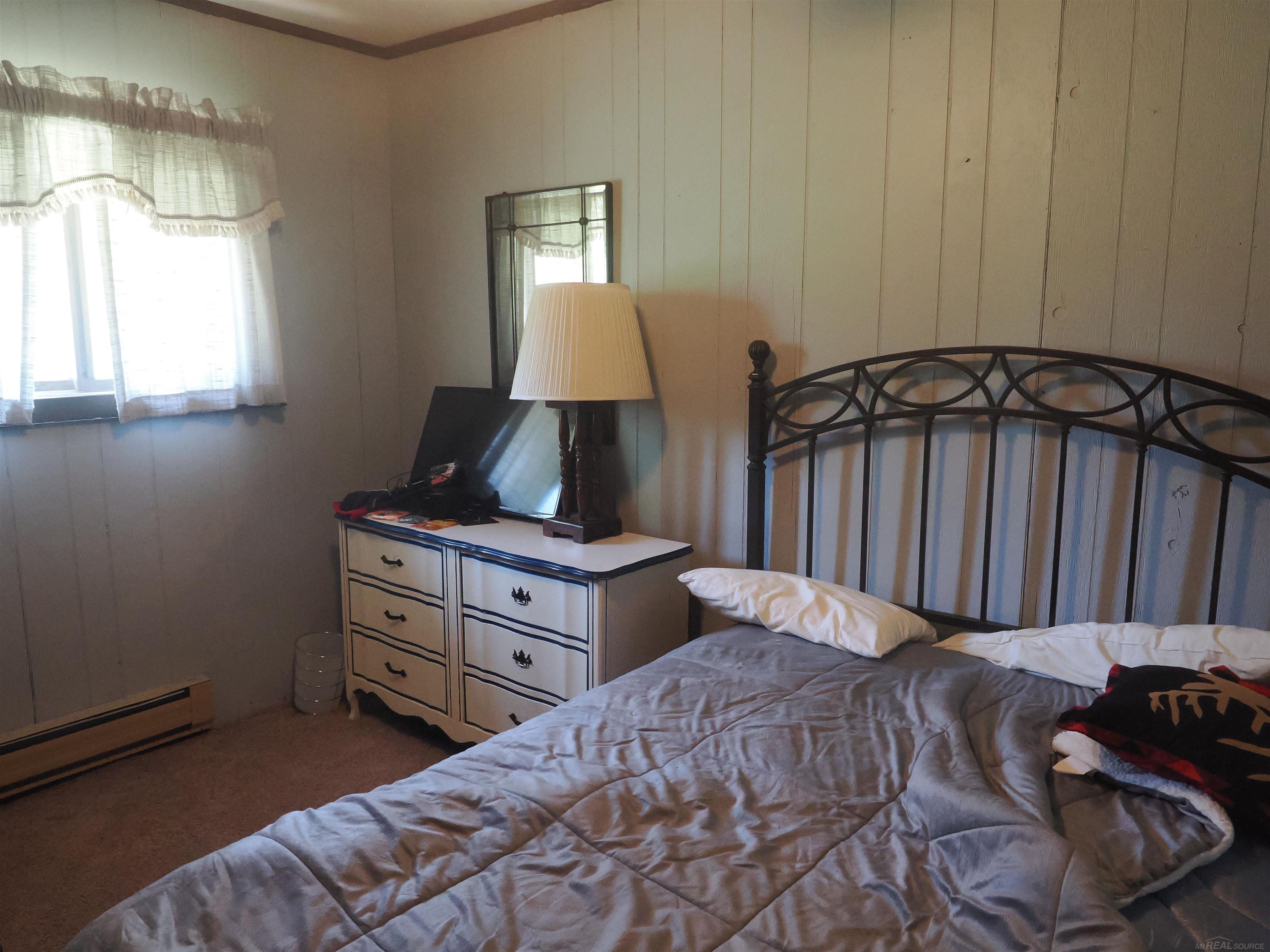 9976 South Salt Point Road Eckerman, MI 49728 - Photo 9 of 48