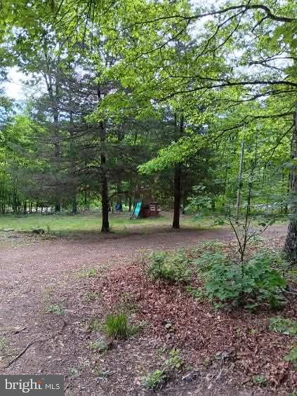 778 Falconwood Road Paw Paw, WV 25434 - Photo 22 of 25