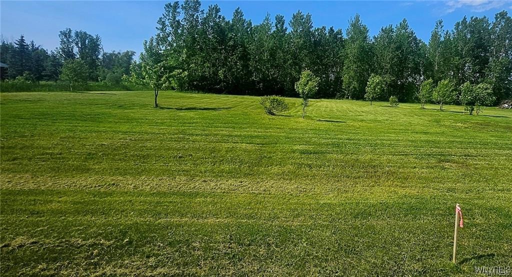 3719 Mapleton Road Wheatfield, NY 14132 - Photo 1 of 25