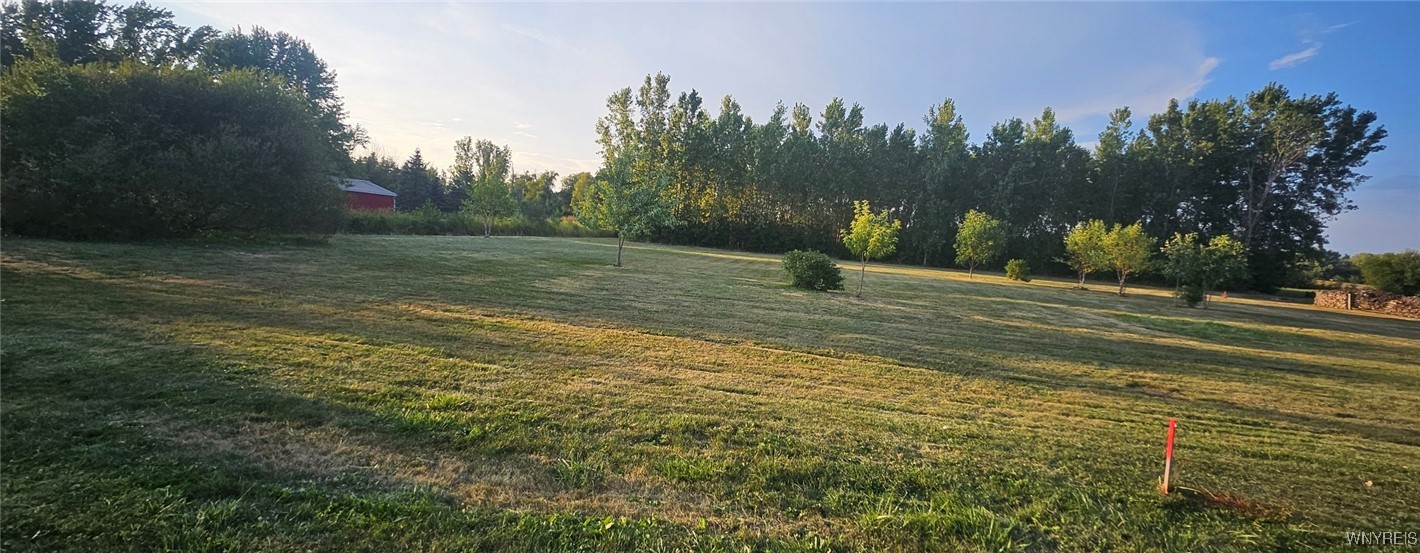 3719 Mapleton Road Wheatfield, NY 14132 - Photo 21 of 25