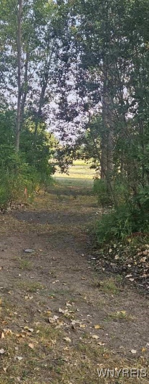 3719 Mapleton Road Wheatfield, NY 14132 - Photo 22 of 25