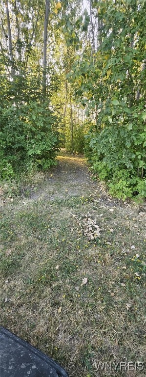 3719 Mapleton Road Wheatfield, NY 14132 - Photo 24 of 25