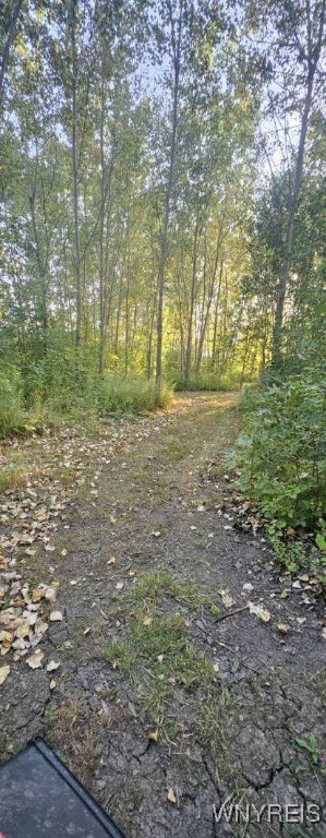 3719 Mapleton Road Wheatfield, NY 14132 - Photo 25 of 25