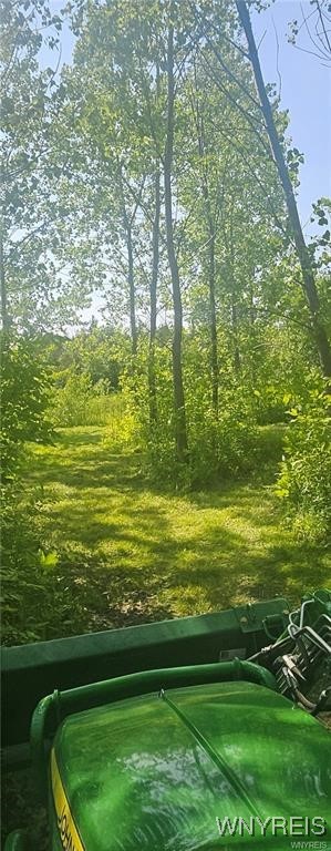 3719 Mapleton Road Wheatfield, NY 14132 - Photo 3 of 25