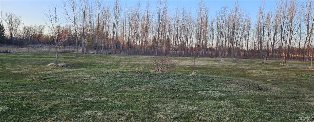 3719 Mapleton Road Wheatfield, NY 14132 - Photo 4 of 25