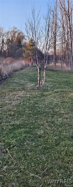 3719 Mapleton Road Wheatfield, NY 14132 - Photo 6 of 25