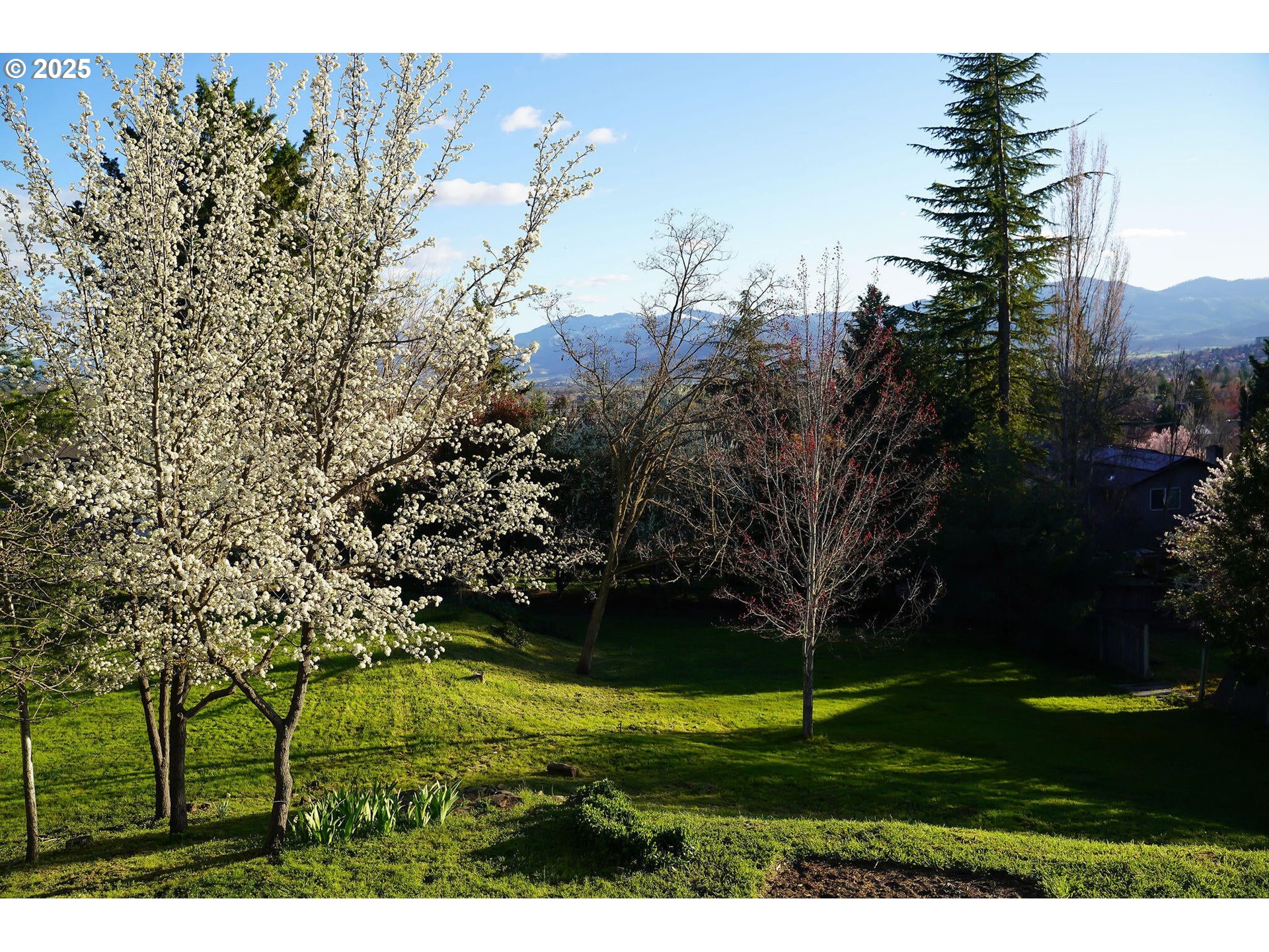 3676 Princeton Way Medford, OR 97504 - Photo 23 of 48
