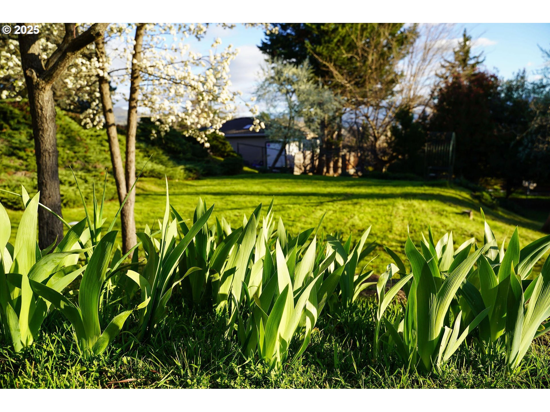 3676 Princeton Way Medford, OR 97504 - Photo 27 of 48